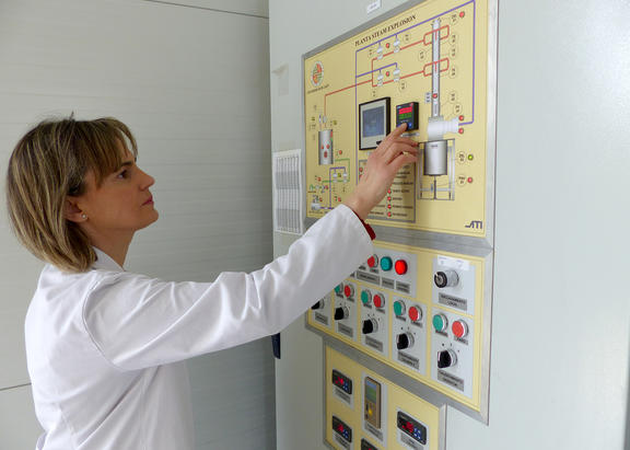 La investigadora Encarnación Ruiz.