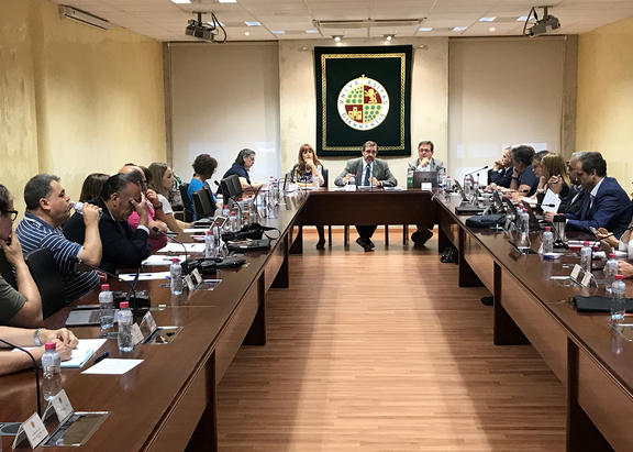Consejo de Gobierno de la UJA celebrado este viernes.
