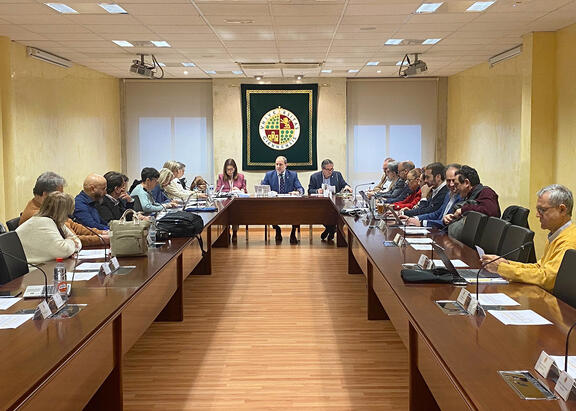 Sesión extraordinaria del Consejo de Gobierno de la Universidad de Jaén.