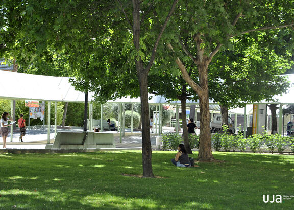 Zona ajardinada junto al Edificio B3 del Campus Las Lagunillas.