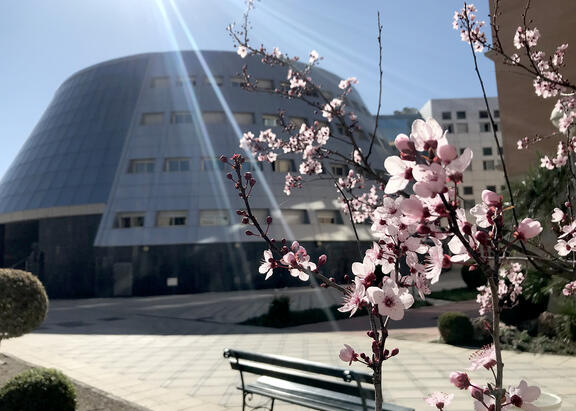 Edificio A4, en el Campus Las Lagunillas.