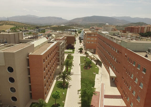 Imagen parcial del Campus Las Lagunillas en Jaén.