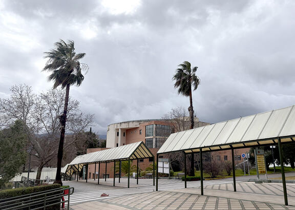 Imagen del Campus Las Lagunillas durante estos días de temporal.