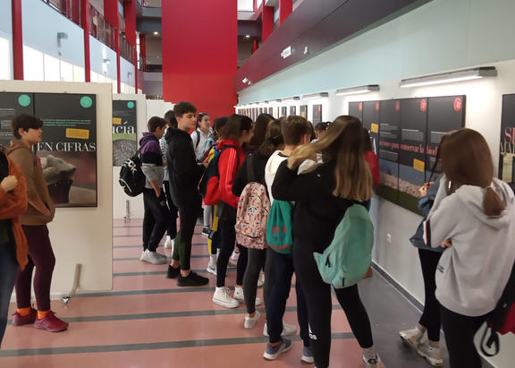 Estudiantes de Bachillerato visitan la exposición 'Los enlaces de la vida'.
