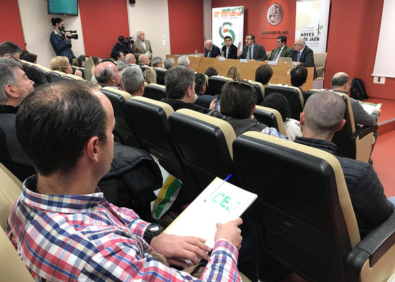 Intervención del Rector, en la inauguración de la jornada.