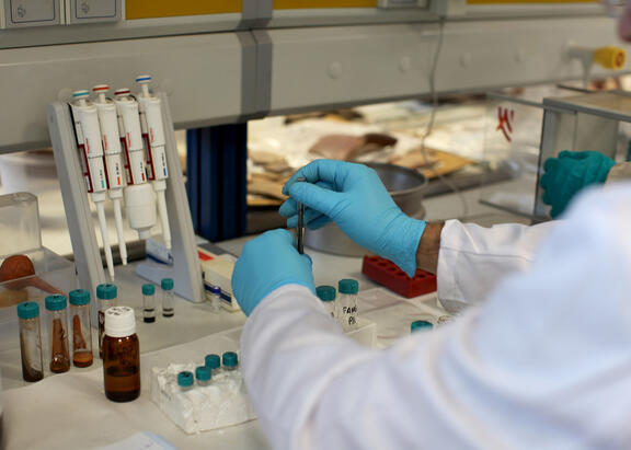 Investigador de la UJA, en el laboratorio del Instituto de Investigación en Arqueología Ibérica.