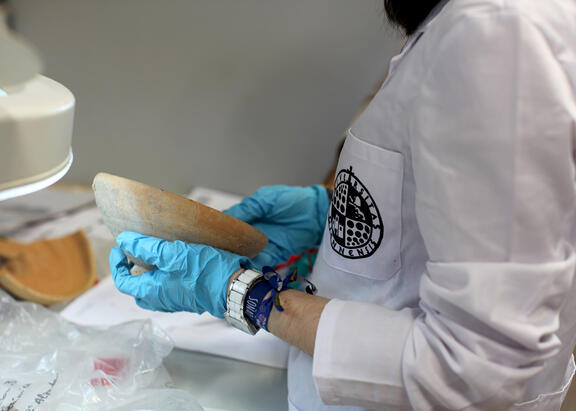 Investigador de la UJA en un laboratorio del Instituto de Arqueología Ibérica.