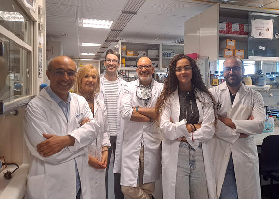 Equipo de investigadores de la UJA. De izquierda a derecha: Óscar Horacio Ocaña, Mª Isabel Torres, Antonio José Sarabia, Jorge Nicolás Domínguez, Belén Martínez, y Antonio Peñas.