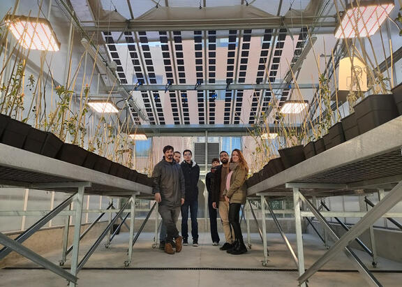 Investigadores en el invernadero experimental de la UJA en el que ya se han instalado módulos fotovoltaicos semi-transparentes.
