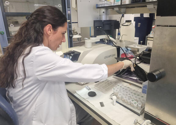 La investigadora Ramón y Cajal de la UJA, Clara Ortega, en su laboratorio.