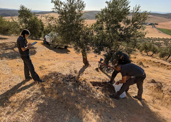 Investigadores realizan labores de muestreo en una de las fincas adheridas al proyecto