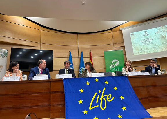 Intervención del Rector en la presentación del estudio en la sede del COI.