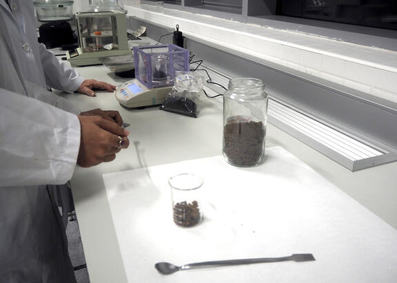 Trabajo en un laboratorio de la UJA.