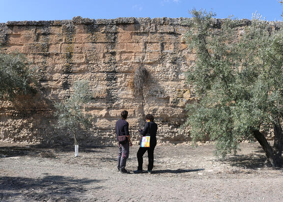 Investigadores en el yacimiento de Úbeda la Vieja.