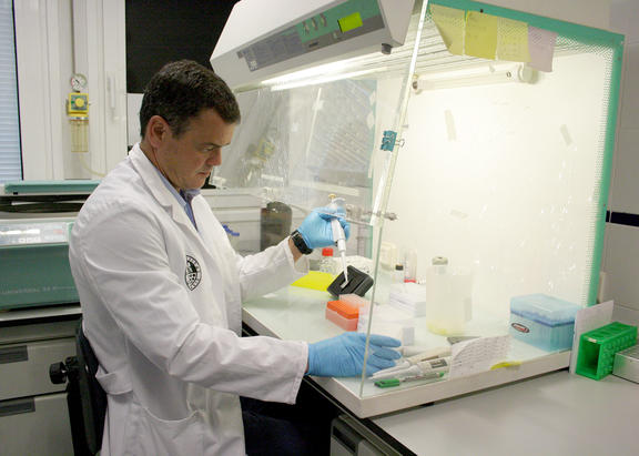El investigador de la UJA Antonio Caruz. Foto: Fundación Descubre.