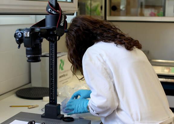 Investigadora en un laboratorio de la UJA.