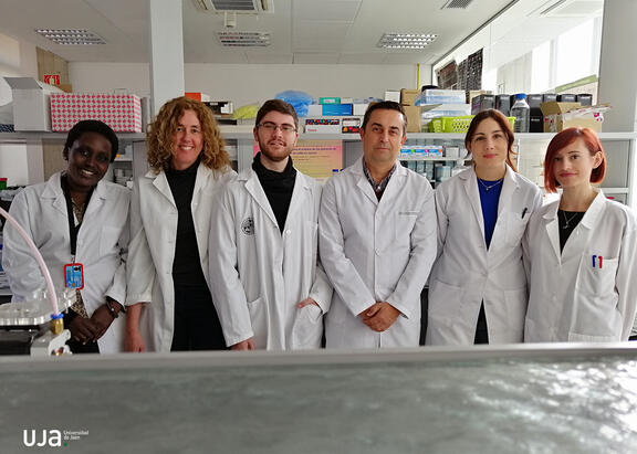 Investigadores que han participado en el trabajo.