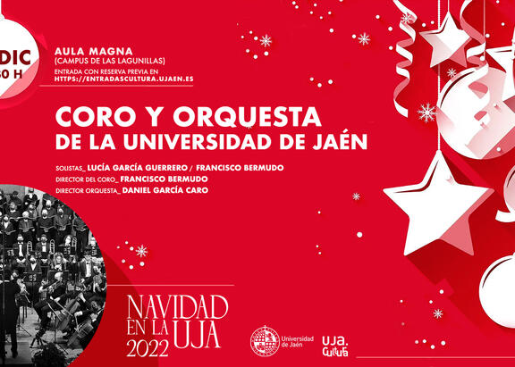 Cartel del concierto.