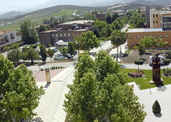 Vista panorámica del Campus Las Lagunillas, desde el Edificio Rectorado.