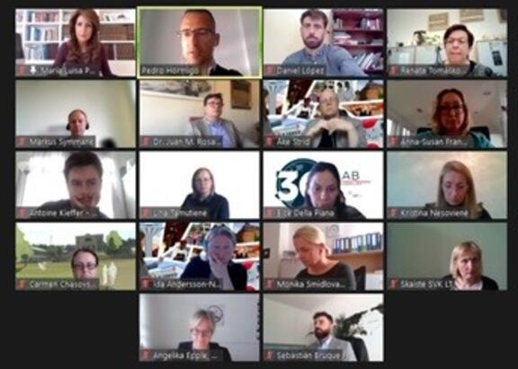 Un momento de la reunión 'online' mantenida por el consorcio.