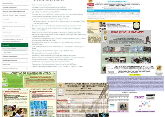 Imagen de algunos de los posters realizados.