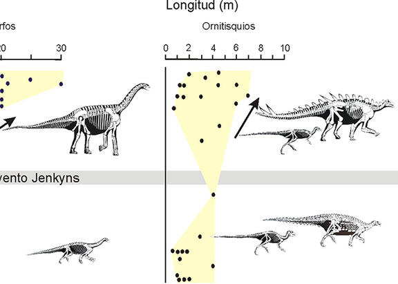 Figura que ilustra las variaciones de temperatura a lo largo del Jurásico inferior y medio y el cambio de tamaño entre las formas herbívoras y carnívoras de dinosaurios previamente y posteriormente al Evento Jenkyns.