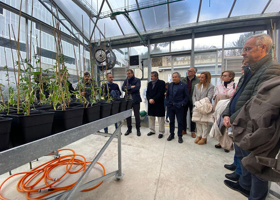 Un momento de la visita al invernadero experimental de la UJA.