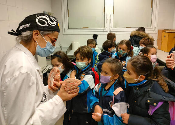 Medio millar de escolares participa en los talleres de divulgación científica organizados por la UJA para conmemorar el Día Internacional de la Mujer y la Niña en la Ciencia