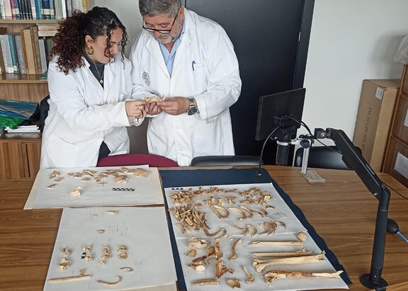 Los investigadores de la UJA Juan Carlos Castillo y Mª Ángeles Mora.