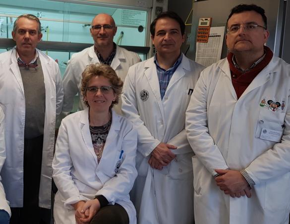 Miembros del grupo de investigación de la UJA